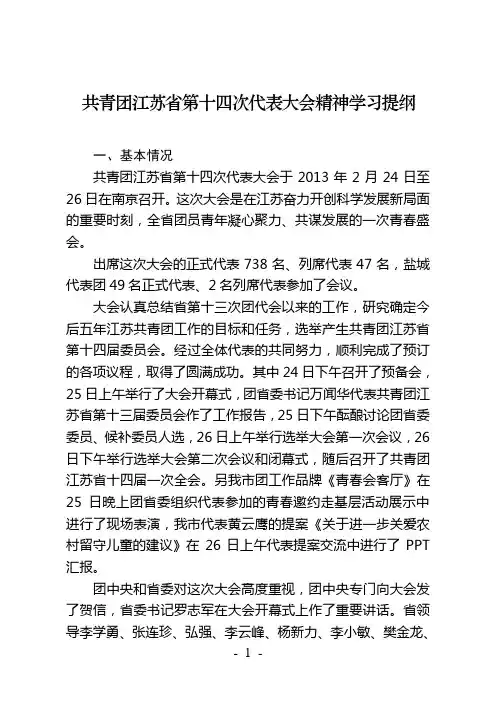 共青团江苏省第十四次代表大会精神