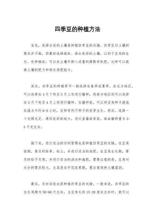 四季豆的种植方法