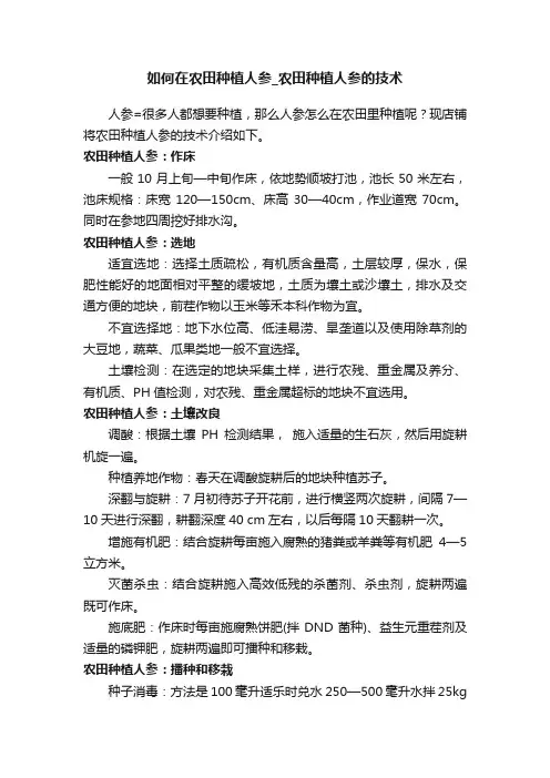 如何在农田种植人参_农田种植人参的技术