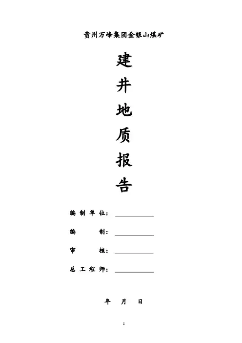 建井地质报告
