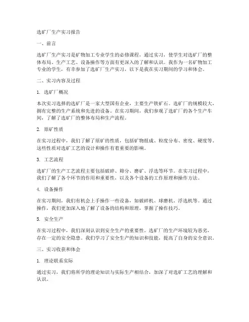 选矿厂生产实习报告