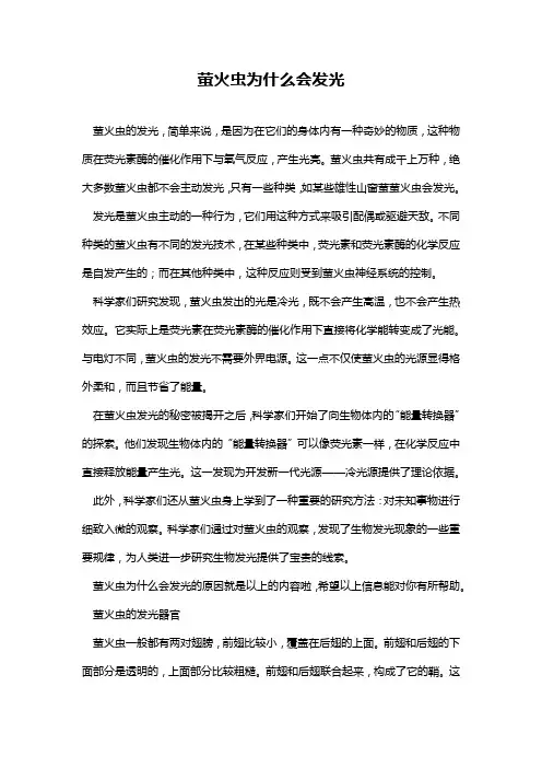 萤火虫为什么会发光