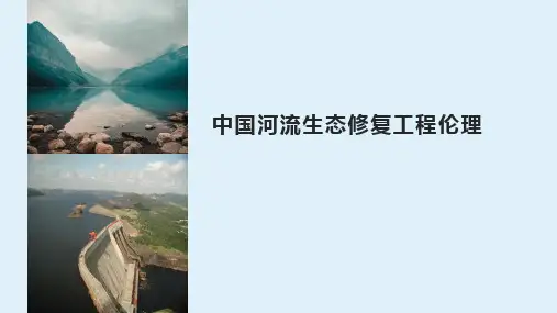 中国河流生态修复工程伦理