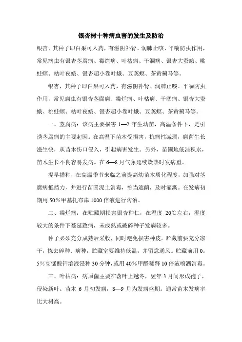 银杏树十种病虫害的发生及防治