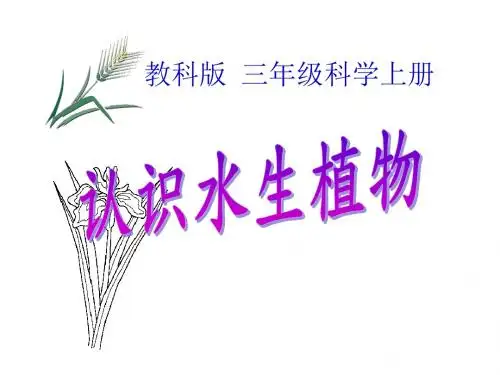 教科版科学三年级上册1.4《水生植物》ppt课件3