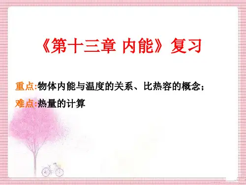 新人教版九年级物理全册第十三章内能单元复习课件 (共29张PPT)