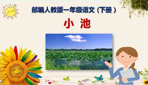 《小池》一年级下册语文