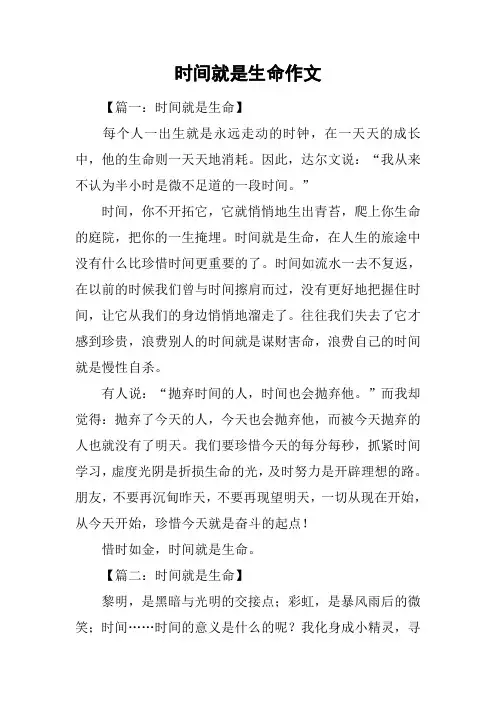 时间就是生命作文
