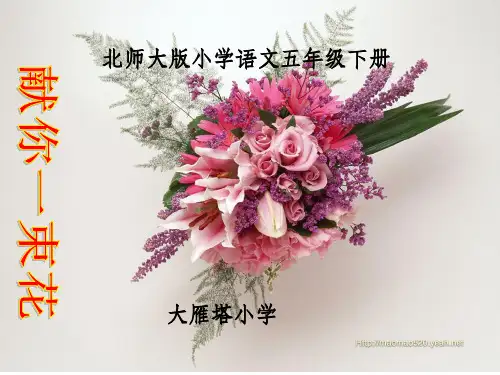 北师大版小学五年级下册语文《献你一束花》课件PPT