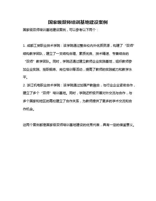 国家级双师培训基地建设案例
