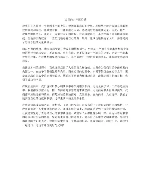 追日的少年读后感