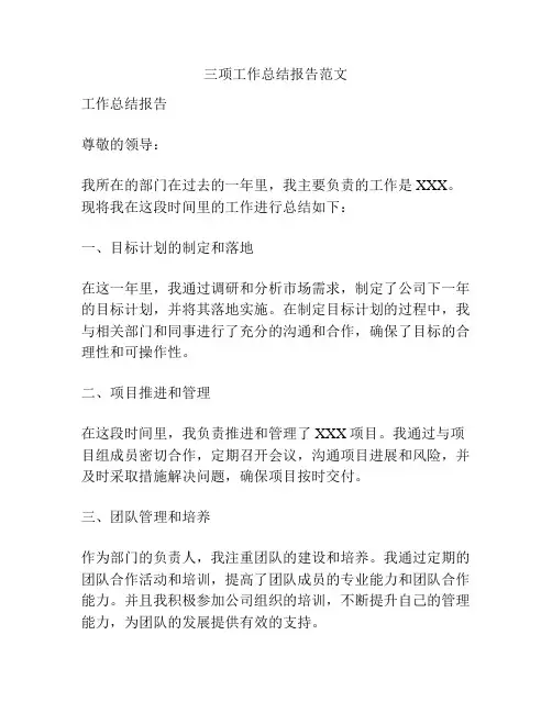 三项工作总结报告范文
