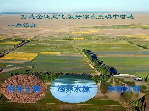 企业文化建设PPT课件