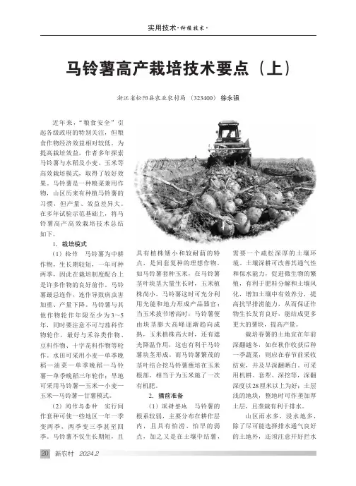 马铃薯高产栽培技术要点（上）