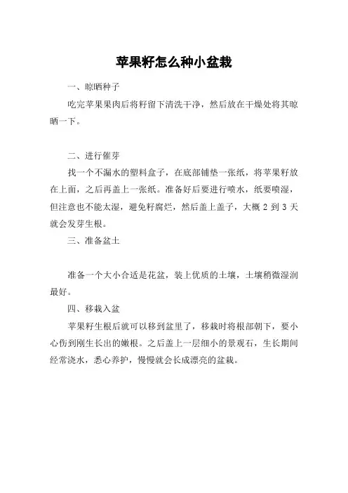 苹果籽怎么种小盆栽