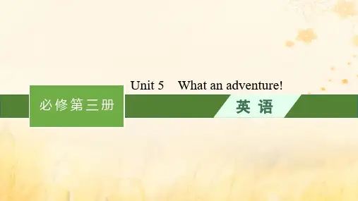 高考英语一轮总复习Unit5Whatanadventure!课件外研版必修第三册