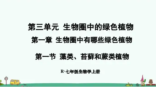 人教版七年级生物上册第一章《生物圈中有哪些绿色植物》课件