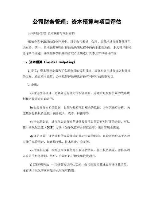 公司财务管理：资本预算与项目评估