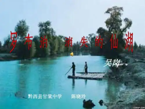 罗布泊消逝的仙湖