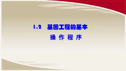 人教版高中生物选修三课件：1-2基因工程的基本操作程序 (共23页)