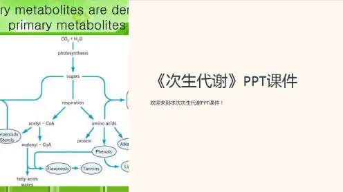 《次生代谢》课件