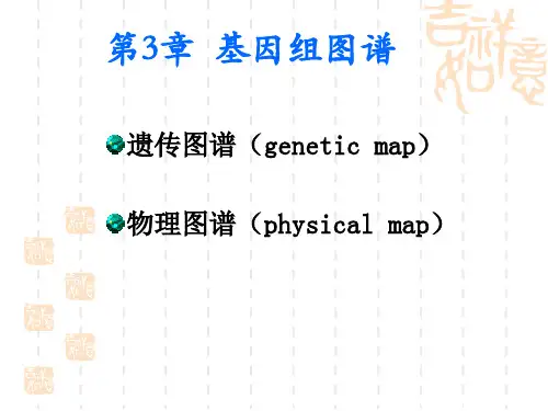 基因组图谱