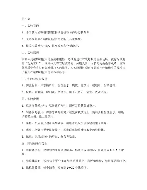 植物细胞线粒体实验报告(3篇)