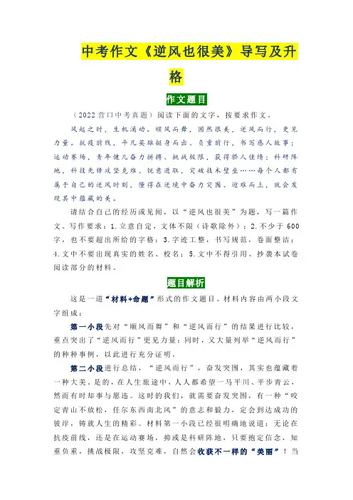 中考语文作文《逆风也很美》导写及升格