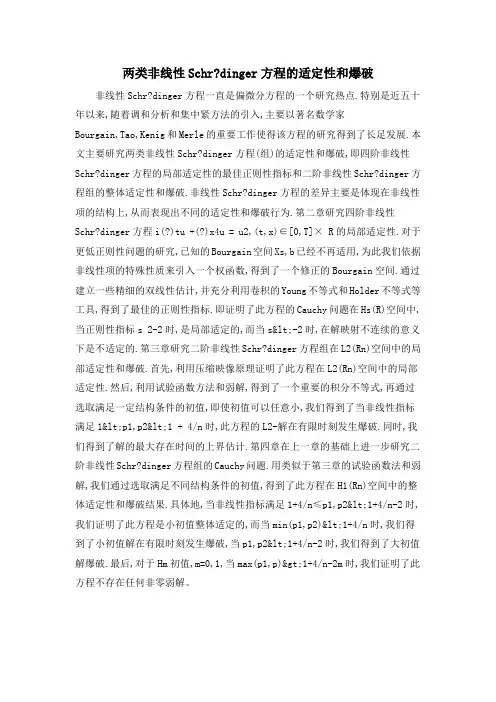 两类非线性Schrdinger方程的适定性和爆破