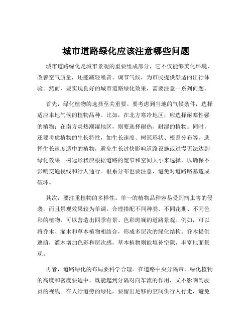 城市道路绿化应该注意哪些问题