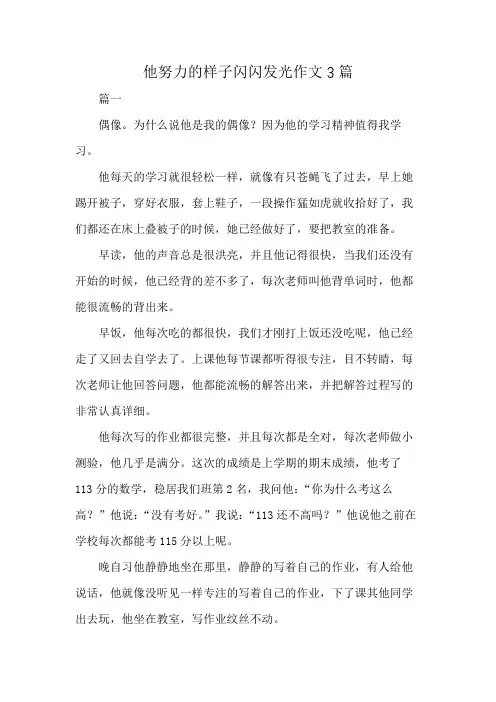 他努力的样子闪闪发光作文3篇