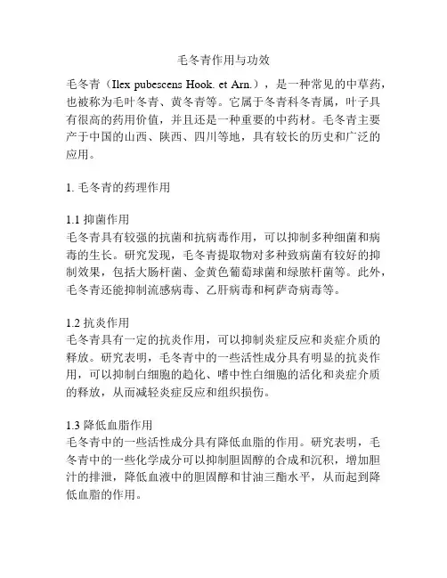 毛冬青作用与功效