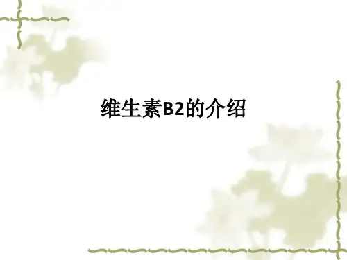 维生素B2的介绍ppt课件