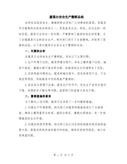 蔬菜办安全生产整顿总结