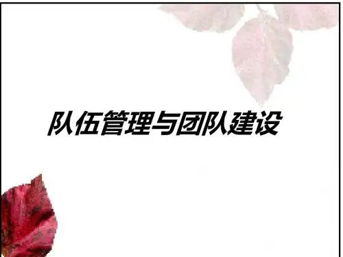 银行保险队伍管理与团队建设34页