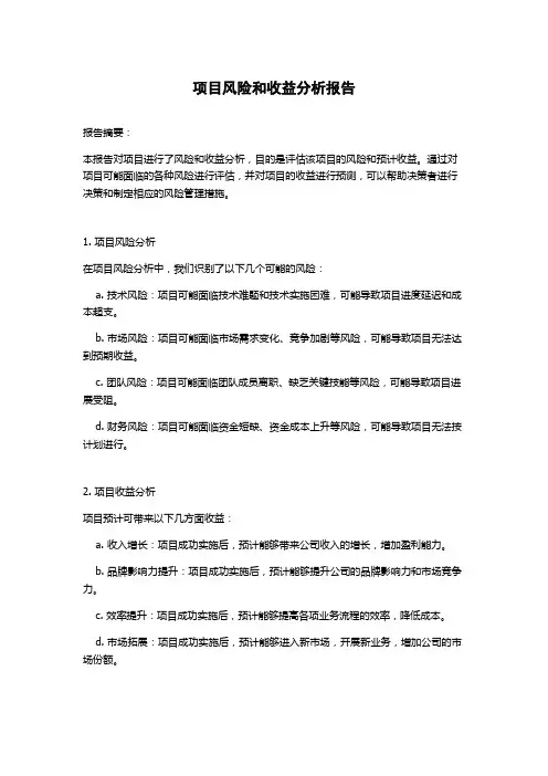 项目风险和收益分析报告