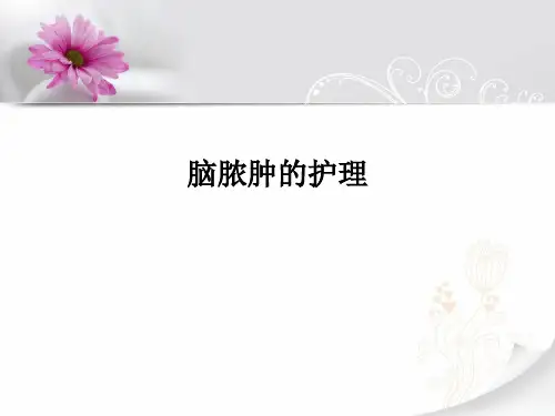 脑脓肿的护理ppt课件