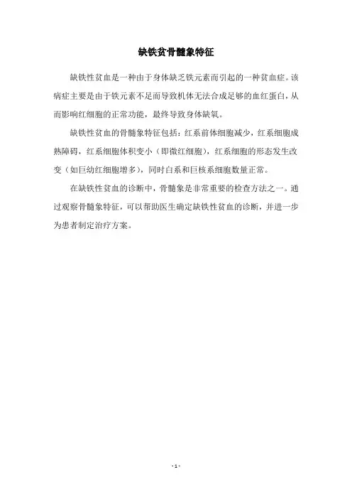 缺铁贫骨髓象特征