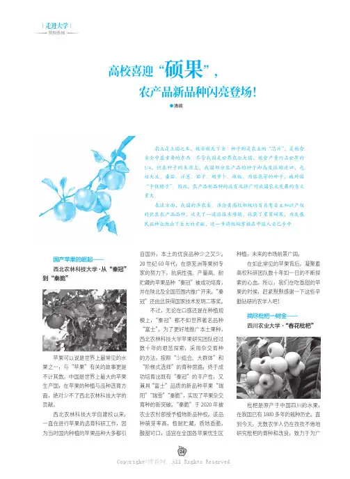 高校喜迎“硕果”，农产品新品种闪亮登场！