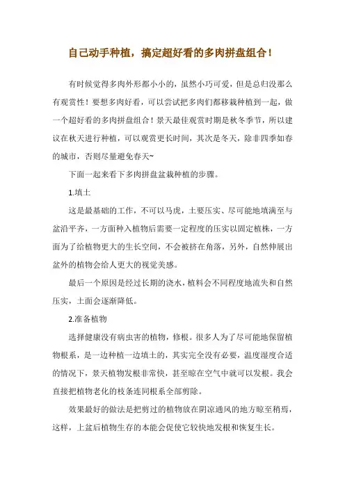 自己动手种植,搞定超好看的多肉拼盘组合!
