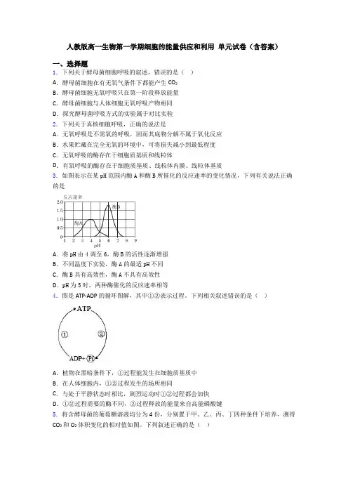 人教版高一生物第一学期细胞的能量供应和利用 单元试卷(含答案)