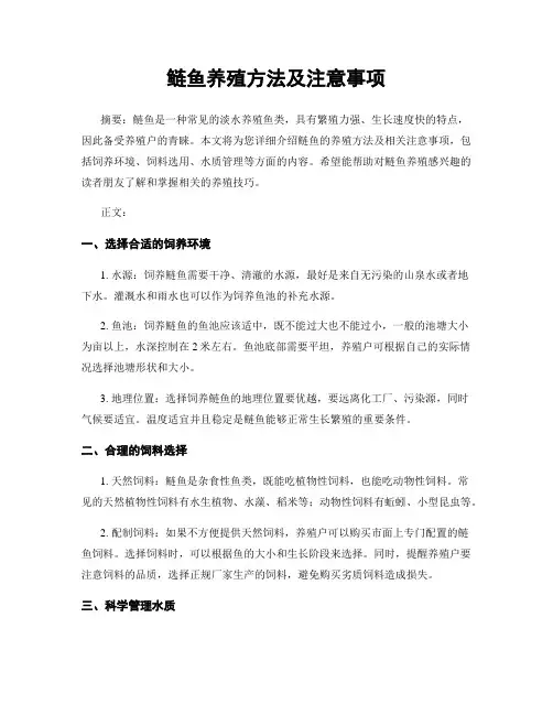 鲢鱼养殖方法及注意事项