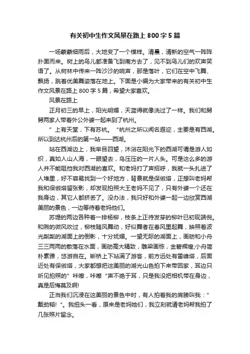 有关初中生作文风景在路上800字5篇