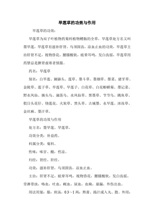 旱莲草的功效与作用_1