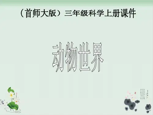 三年级上册科学课件-5动物世界首师大版(共25张PPT)