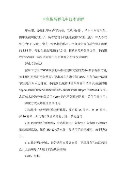 甲鱼蛋高孵化率技术详解