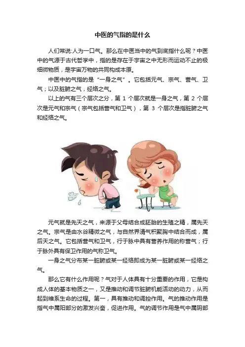 中医的气指的是什么