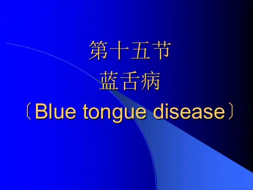家畜传染病学反刍动物疾病23蓝舌病bluetongu
