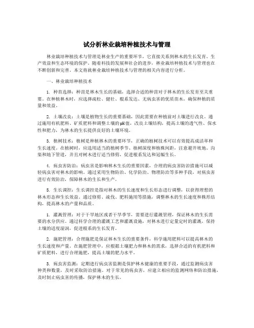 试分析林业栽培种植技术与管理