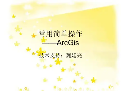 Arcmap入门操作